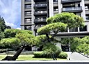 北區-德化街4房2廳，89.7坪