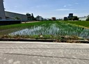 竹北市-土地，541.5坪
