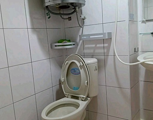 近光復橋可租補寵物報稅小資族溫馨採光佳獨立套房大空間有飲水機 - Image 8