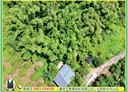 大內區-頭社土地，1284.4坪