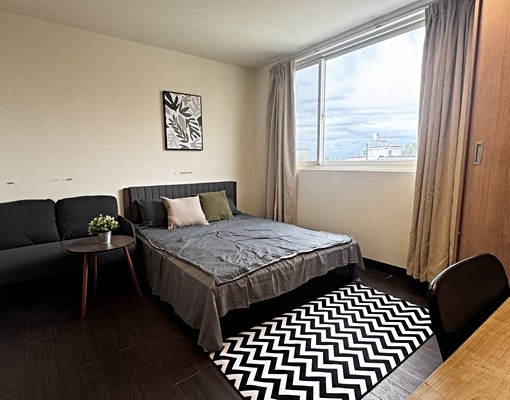 南科旁🉑租補🉑寵物友善獨洗陽台採光滿分 - Image 1