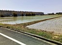 觀音區-土地，2219.1坪