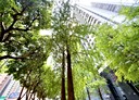 西屯區-台灣大道三段3房2廳，99坪