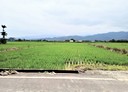 三星鄉-土地，898.4坪