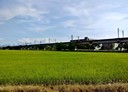 宜蘭市-土地，533坪