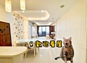 竹北市-新泰路開放式格局，30.3坪