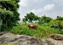 仁德區-太乙十二街土地，1080.9坪