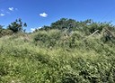 五股區-土地，226坪