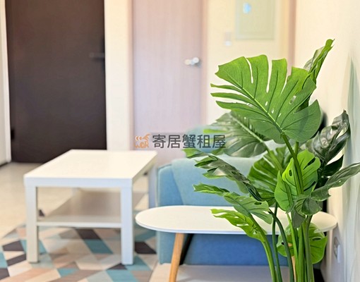 寄居蟹社會住宅🏠安平全新未入住/兩房全新家具/可租補/+賴 - Image 4