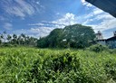 內埔鄉-土地，515.1坪
