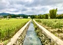 竹東鎮-土地，200坪