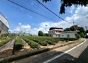 名間鄉-土地，200.9坪