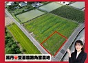 萬丹鄉-土地，779.3坪