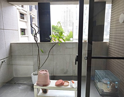 一卡皮箱入住全新近園區清大陽明交大富宇六藝大四房(分租可) - Image 3