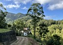 汐止區-茄苳腳段土地，2878.8坪
