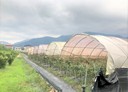 埔里鎮-土地，1255.6坪