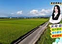 新營區-土地，453.8坪