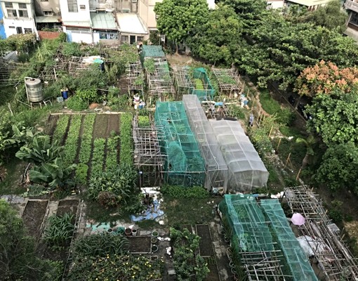 健身整層3房二廳二衛出租，公園綠地 - Image 13