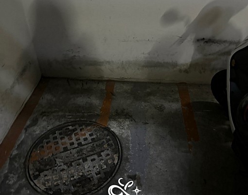 樓中樓｜竹北縣政九路可寵獨洗樓中樓 - Image 15