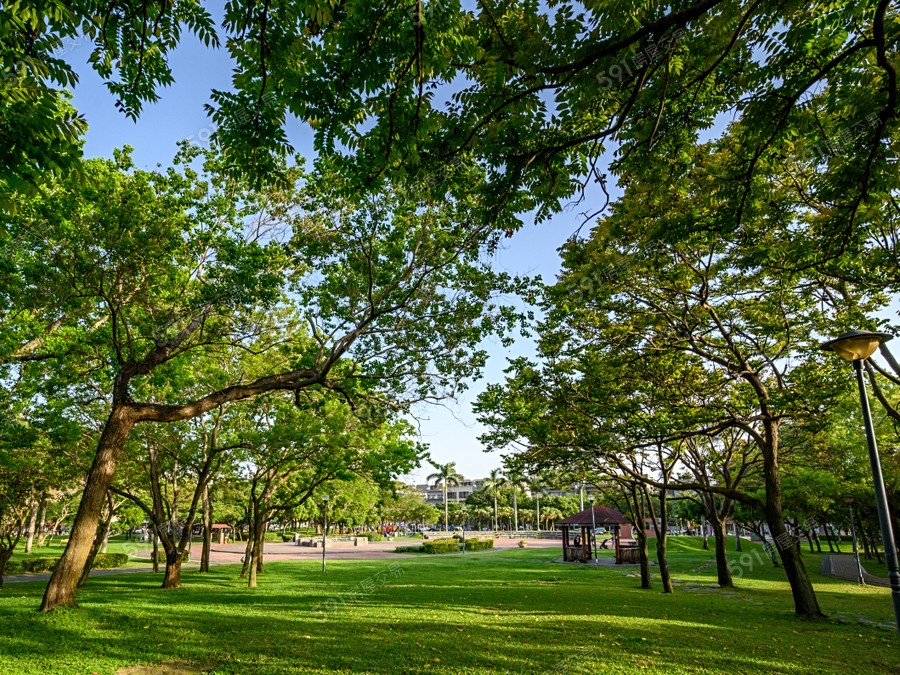 大泓仁美環境圖