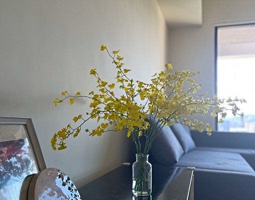 【永安市場站】24h管理員電梯大樓/有廚房陽台/可租補 - Image 14