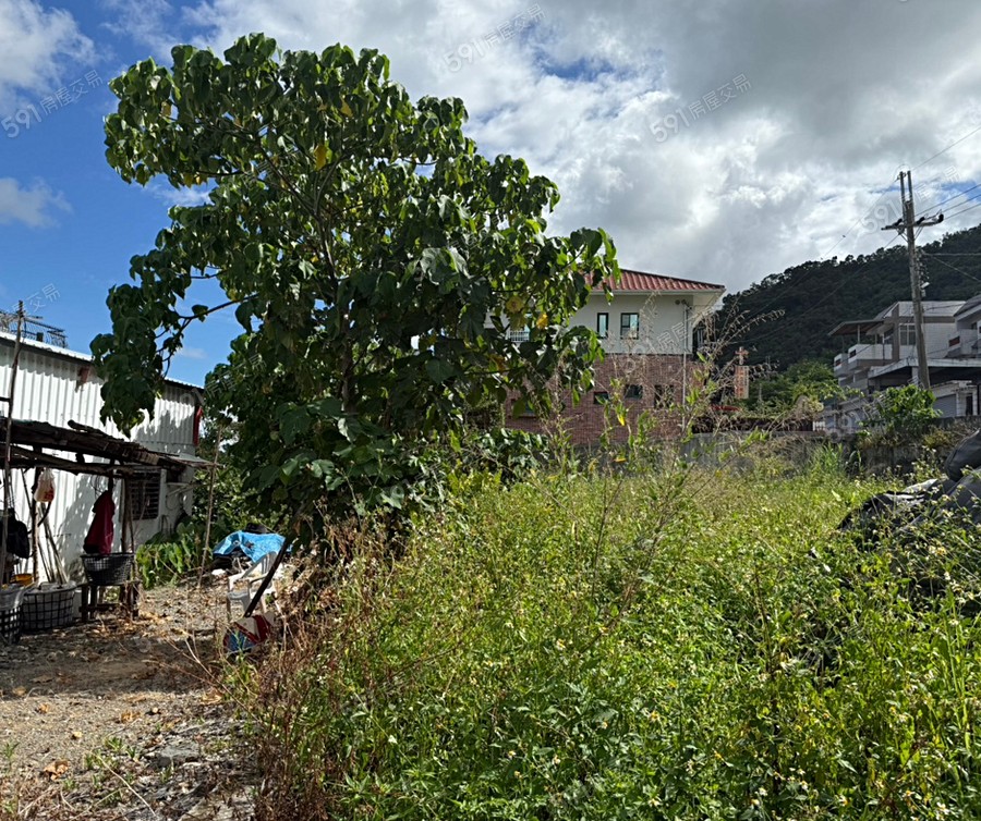 泰安觀止實景圖