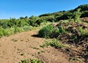 淡水區-土地，1279.5坪