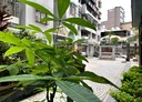平鎮區-新德街3房2廳，49.9坪