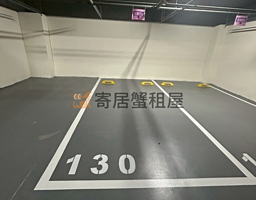 寄居蟹社會住宅🏠免仲可寵全新屋皇普摩天100 - Image 11