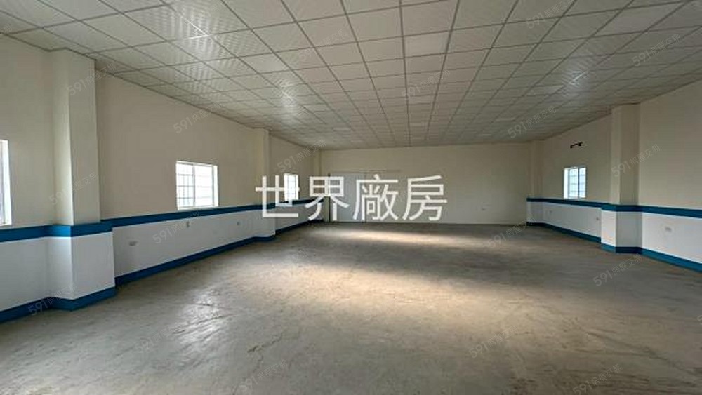 照片