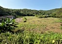 通霄鎮-土地，8951.6坪