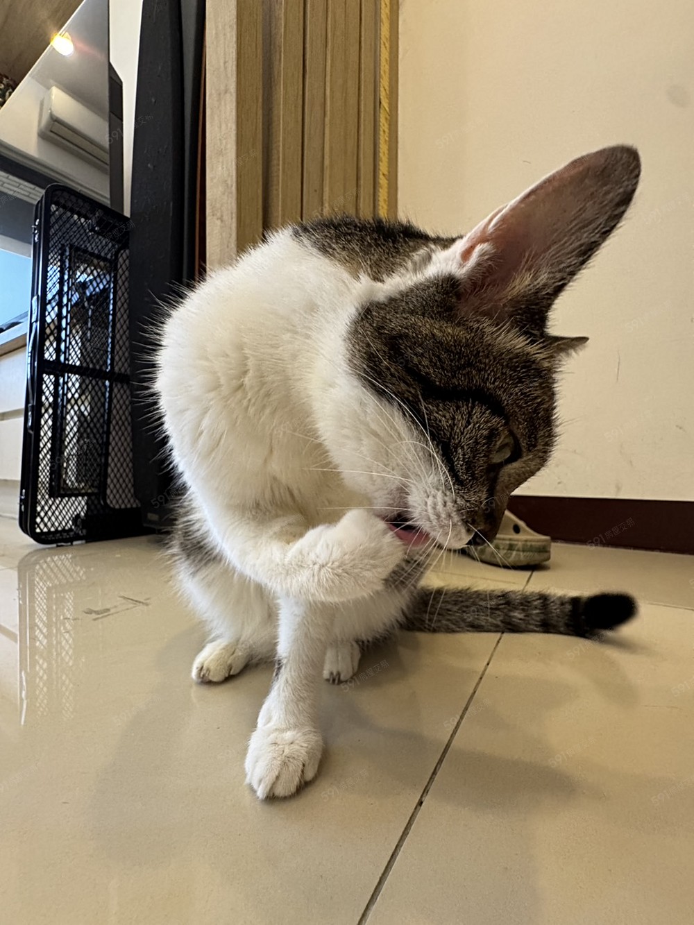 房屋圖片