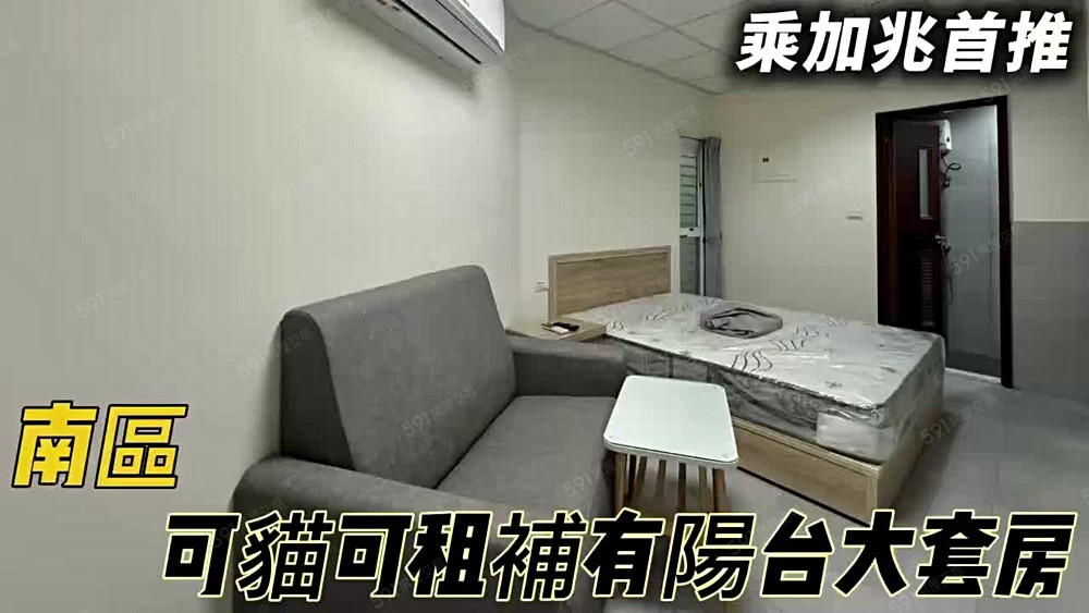 💥乘加兆信貴💥南區溫馨大套房可喵喵 - Image 1