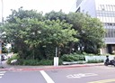 內湖區-舊宗段土地，250.2坪