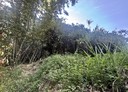 安樂區-土地，6393.9坪
