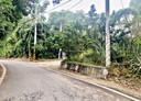 新埔鎮-上樟路一段土地，145.3坪