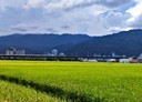 礁溪鄉-玉民路二段開放式格局，61.5坪