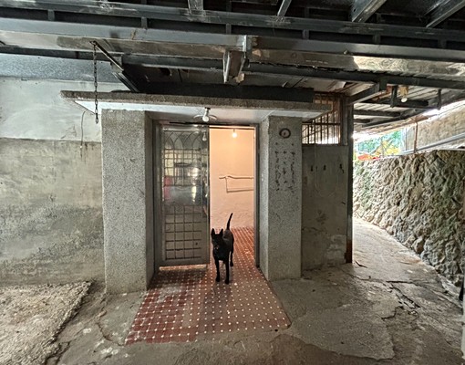 新店莒光路61巷平房 - Image 5