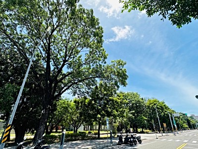 社區圖片