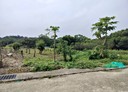 三灣鄉-灣銅段土地，1122坪