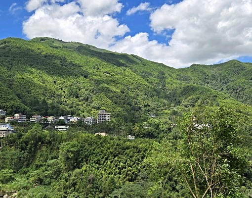 “鄰近溪頭三合院，退休養生好宅，一房二廳有停車場” - Image 13