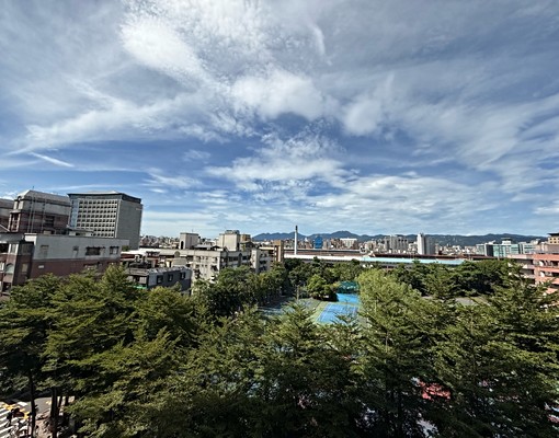 捷運市府，近松菸文創誠品，樹海美景，高樓景觀大三房 - Image 5
