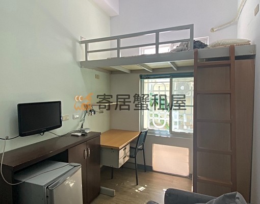 2.寄居蟹🏠北區學生護理人員優惠可租補寵 - Image 2