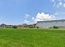 梧棲區-中央路一段土地，388坪