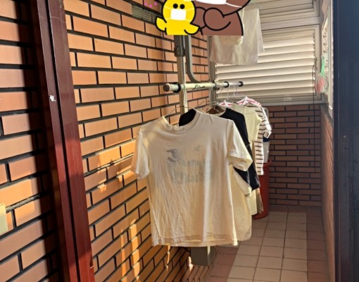 【可貓及小型犬】江子翠電梯大樓/可炊/24HR警衛/雅房分租 - Image 6