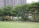 南屯區-大墩九街3房2廳，37坪