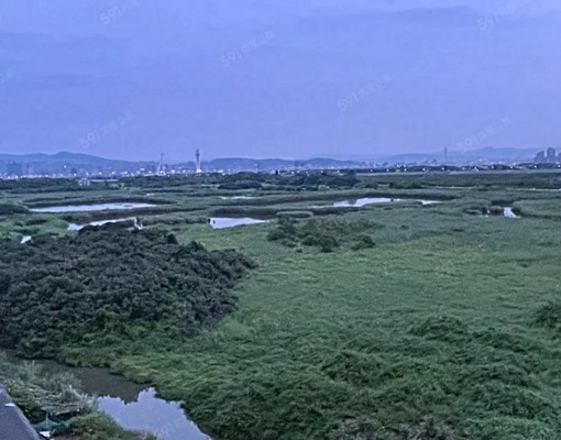 ✅免服務費✅可租補🔶知行路2+1房🔶五泰阿昌 - Image 15