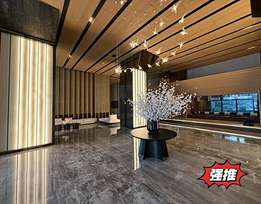 外棟大2房/美景觀裝潢戶含平車/高鐵站前新銳 - 591租屋網 - Image 10