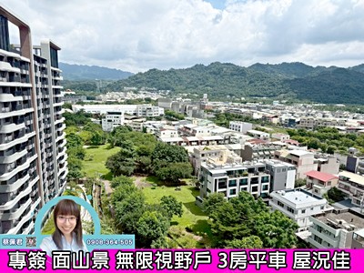 專簽無限視野面公園3房室內19坪採光佳裝潢戶