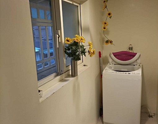 世貿歐風永遠是春天😃歡迎長短租旅客實習受訓裝修試用😃可寵 - Image 10